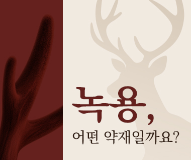 녹용 한약•보약 